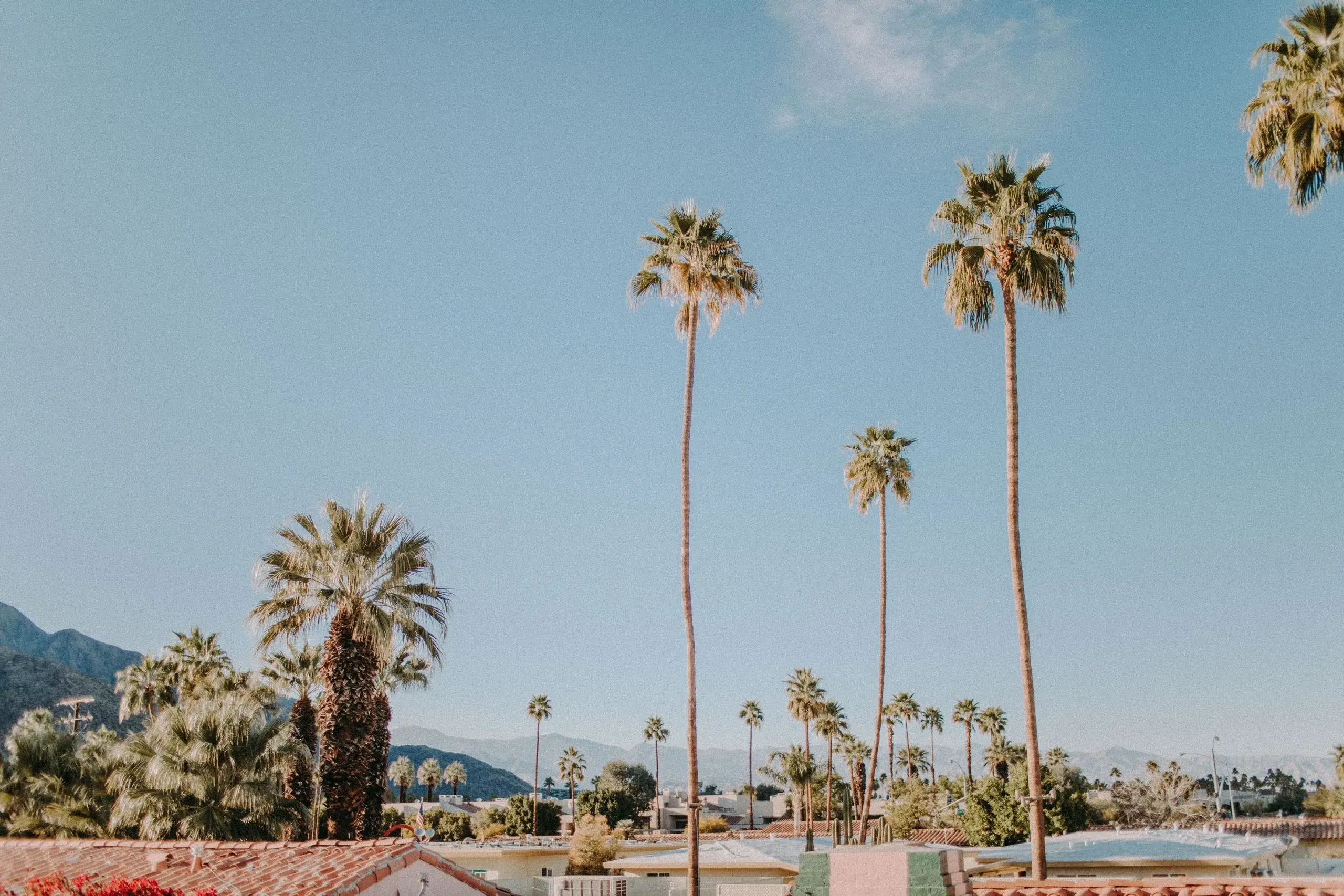 Mid-Century Modern & Palm Canyon Drive