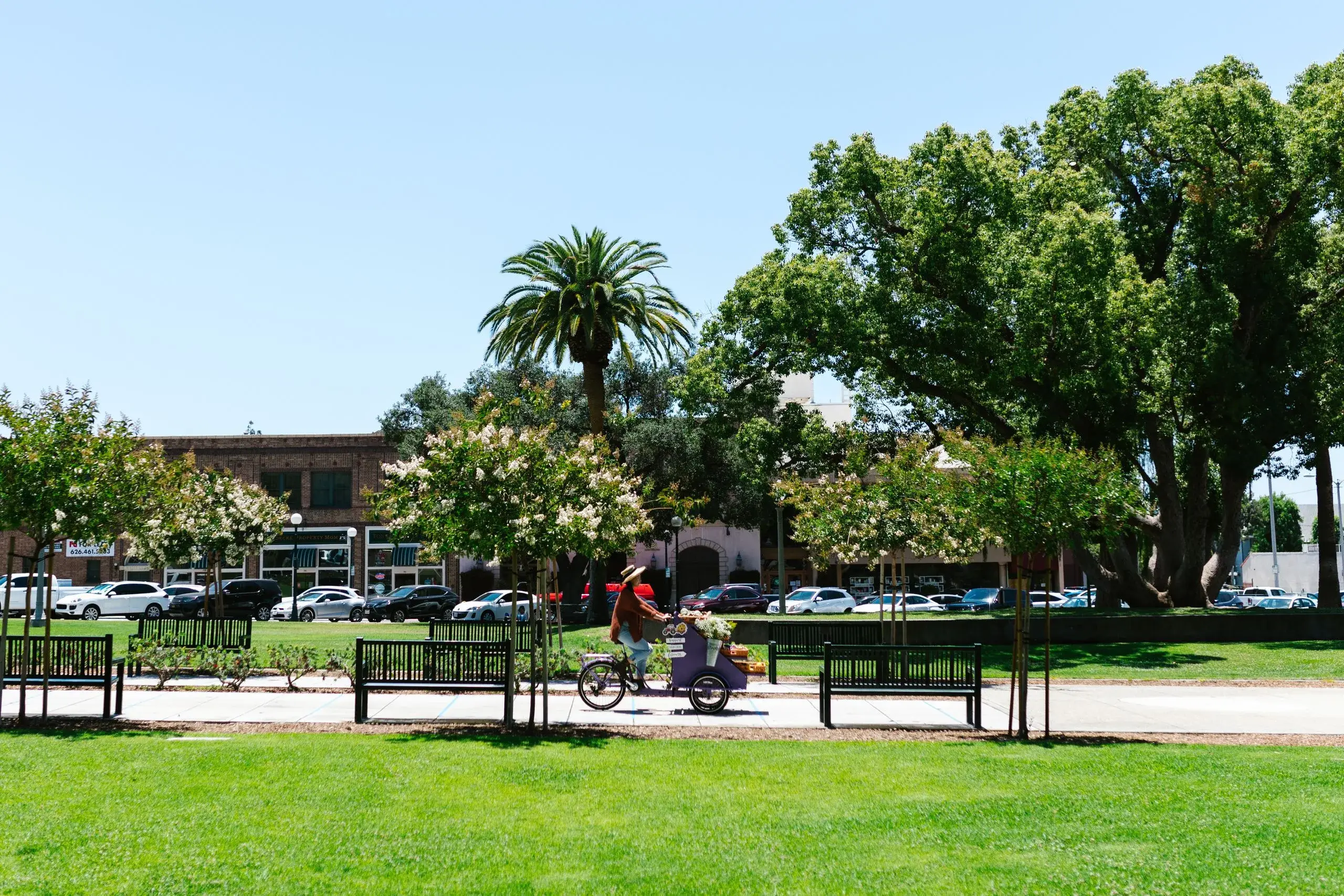 Downtown City Park & Tin City