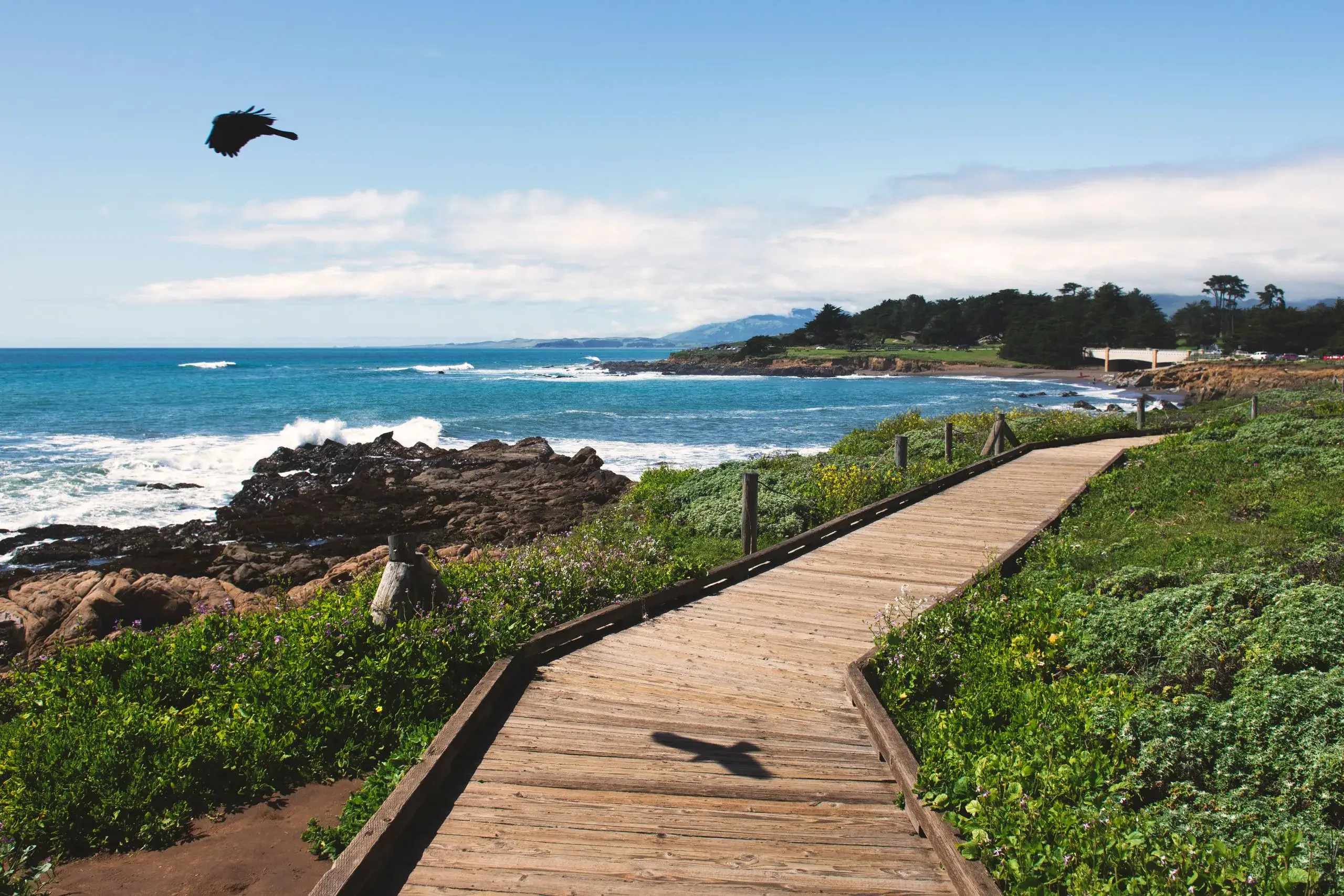 Cambria & Moonstone Beach