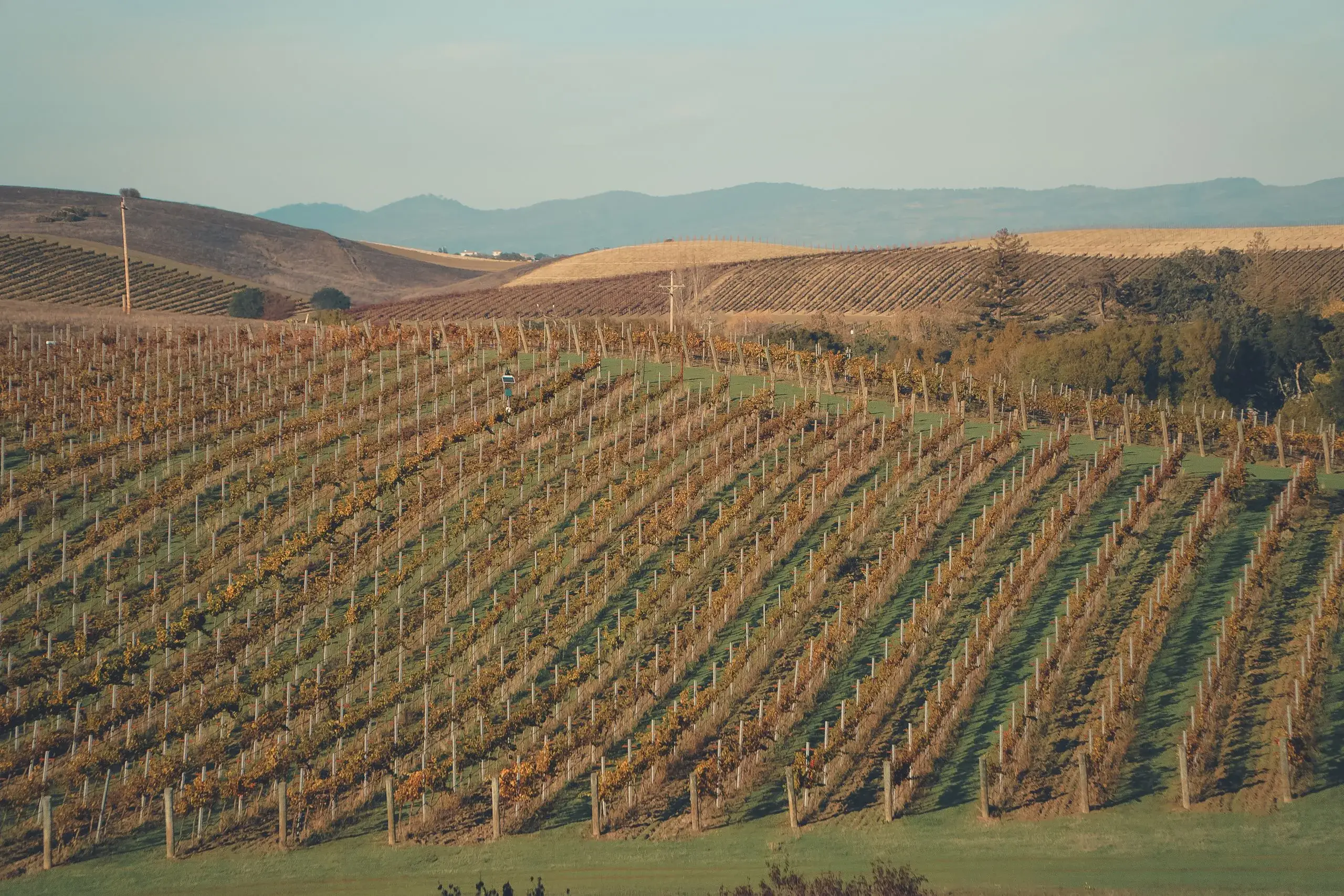 Willamette Valley Wine Country