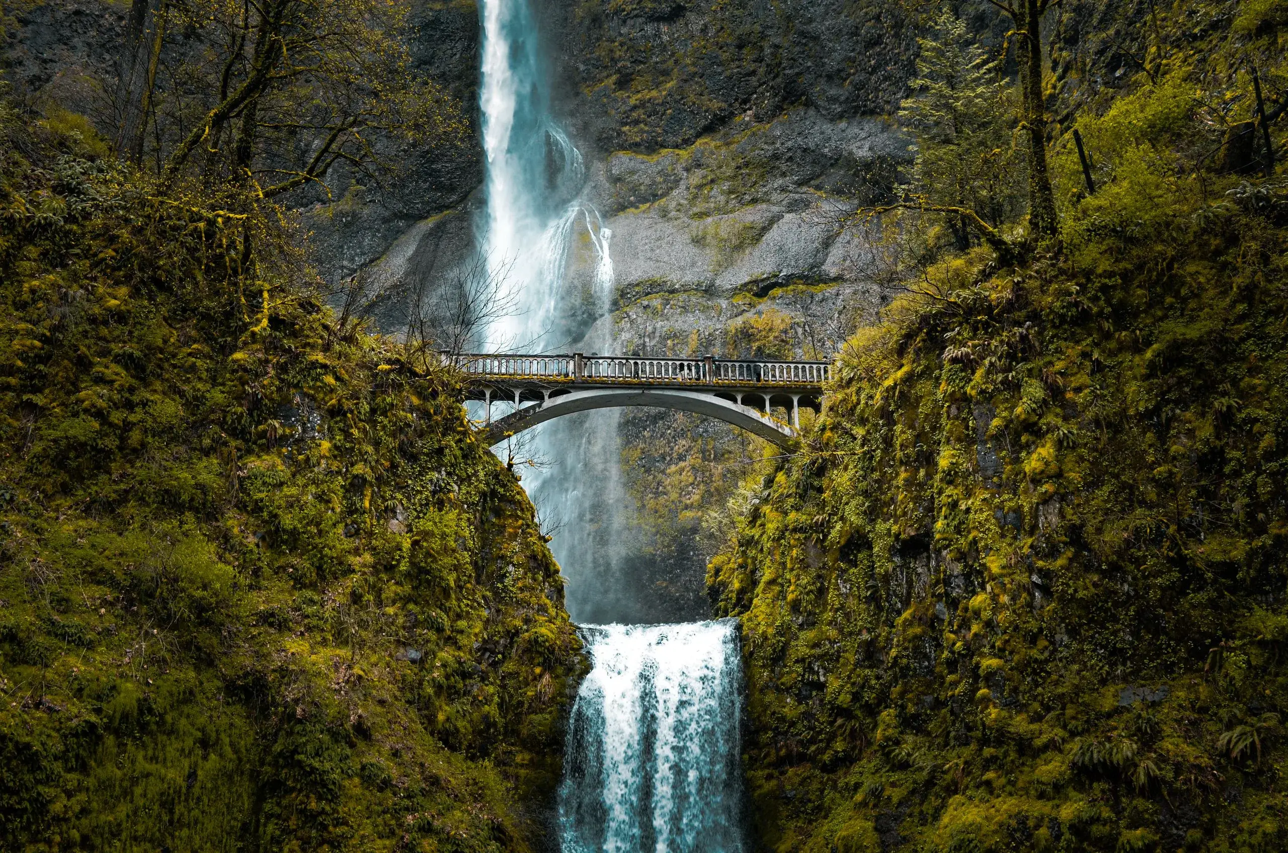 Columbia River Gorge & Multnomah Falls
