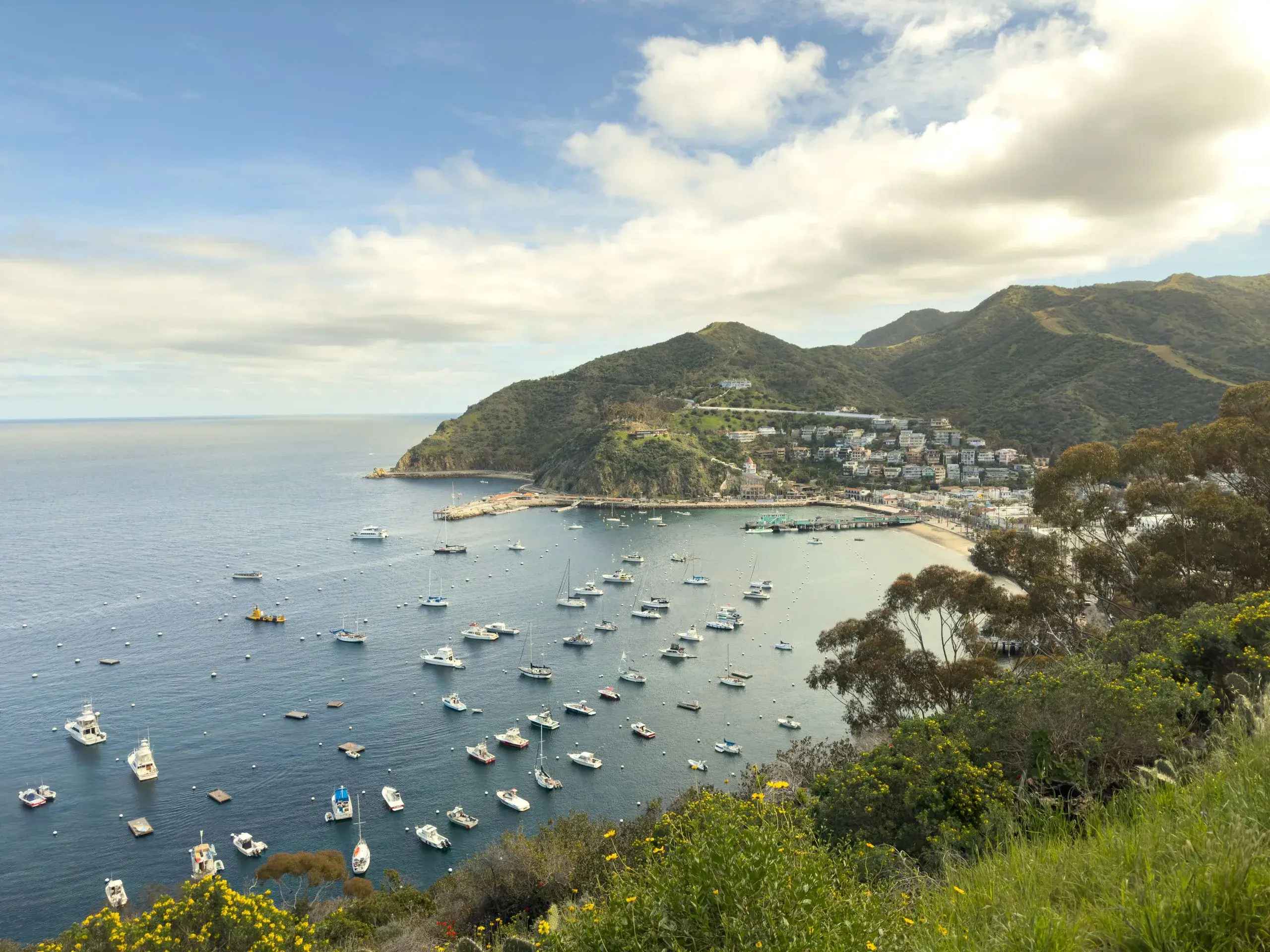 Catalina Island Day Cruise