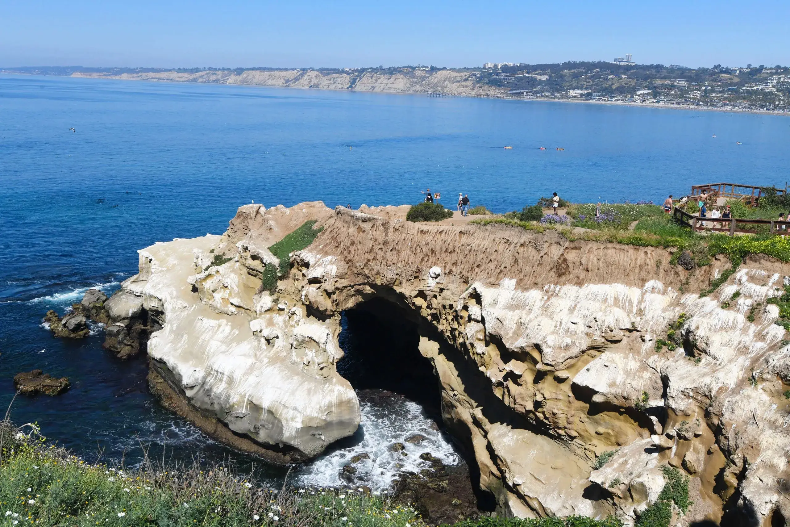 La Jolla Cove & Sea Caves