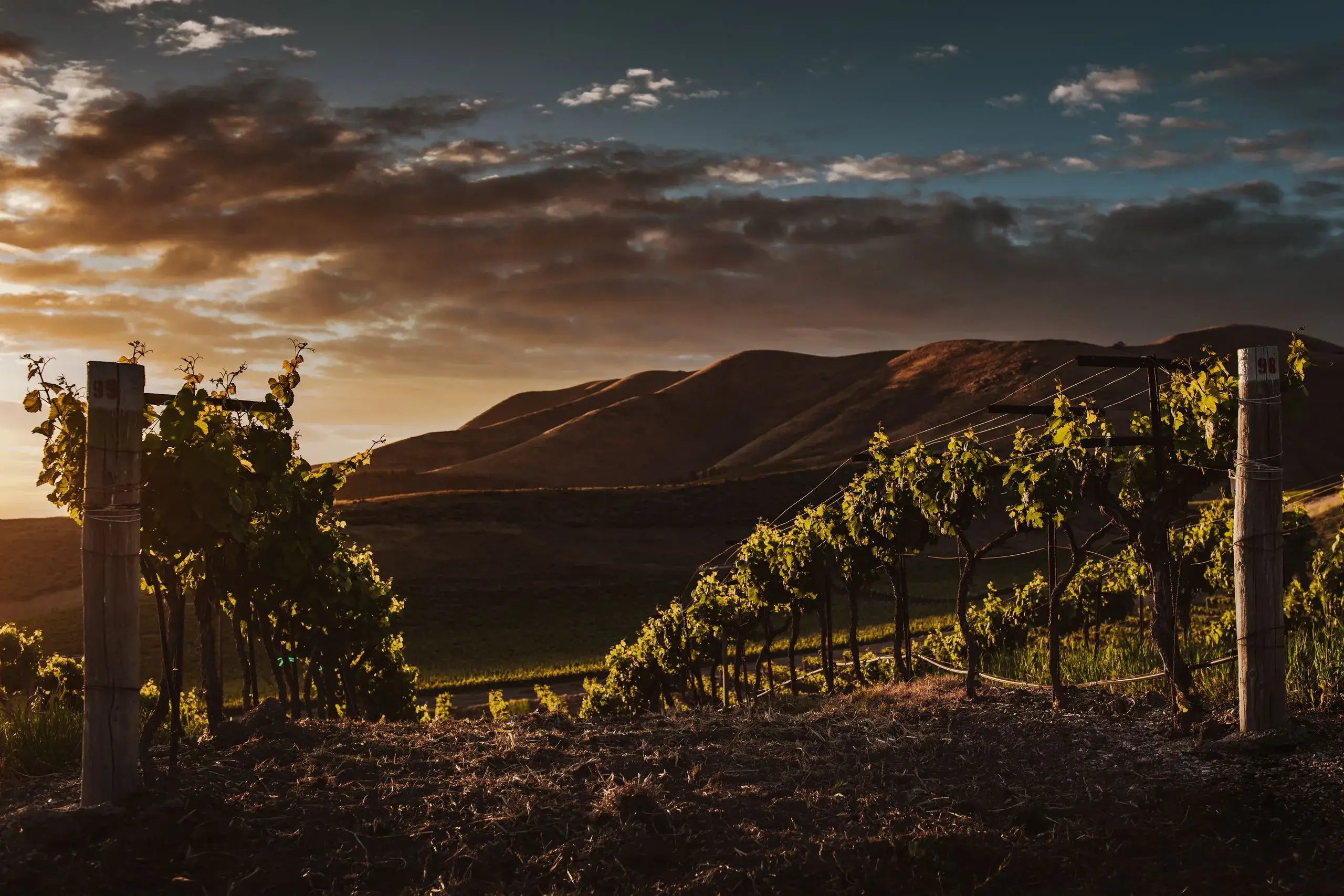 Santa Ynez Valley Wine Country