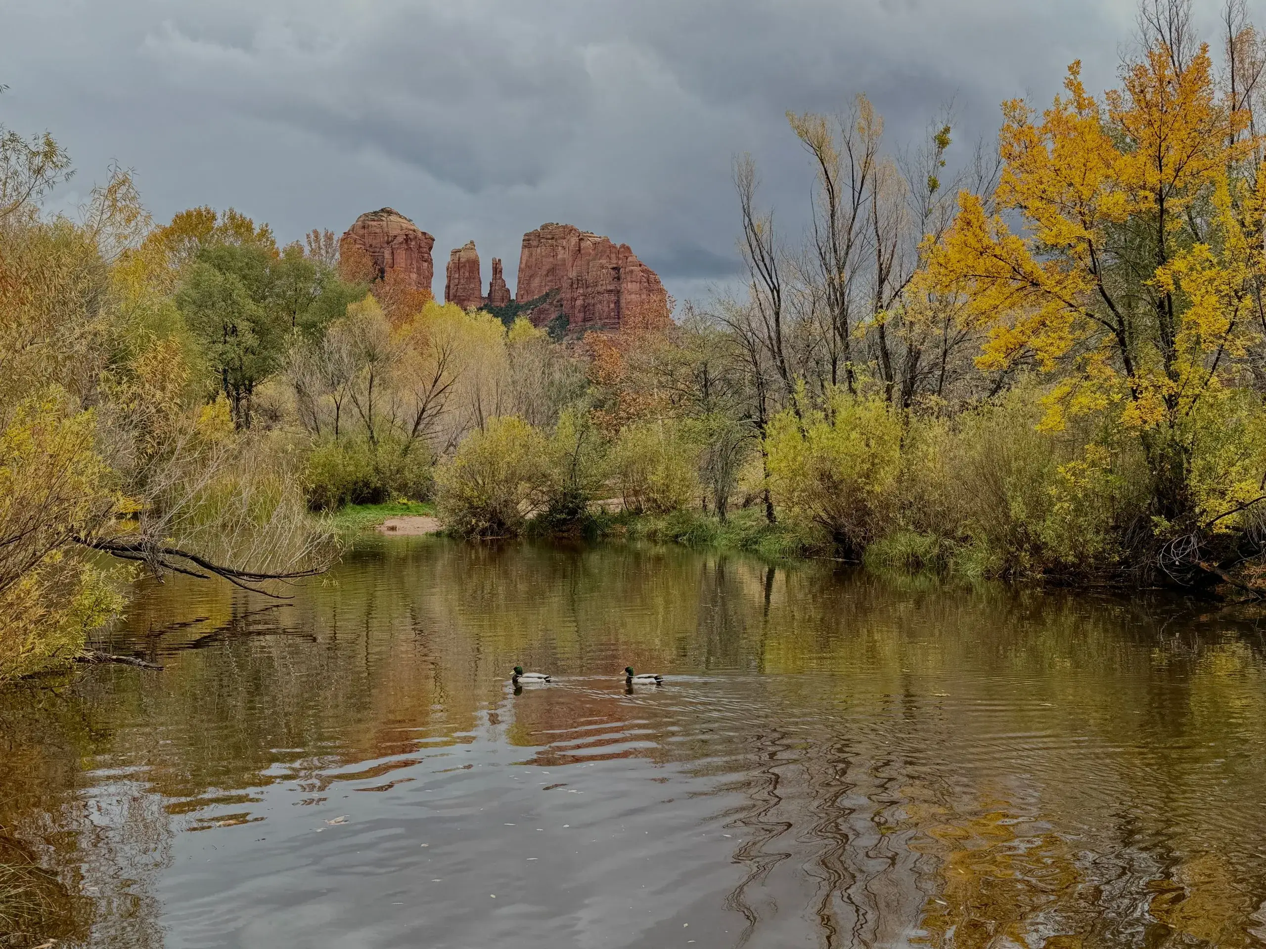 Sedona Red Rocks & Oak Creek Canyon