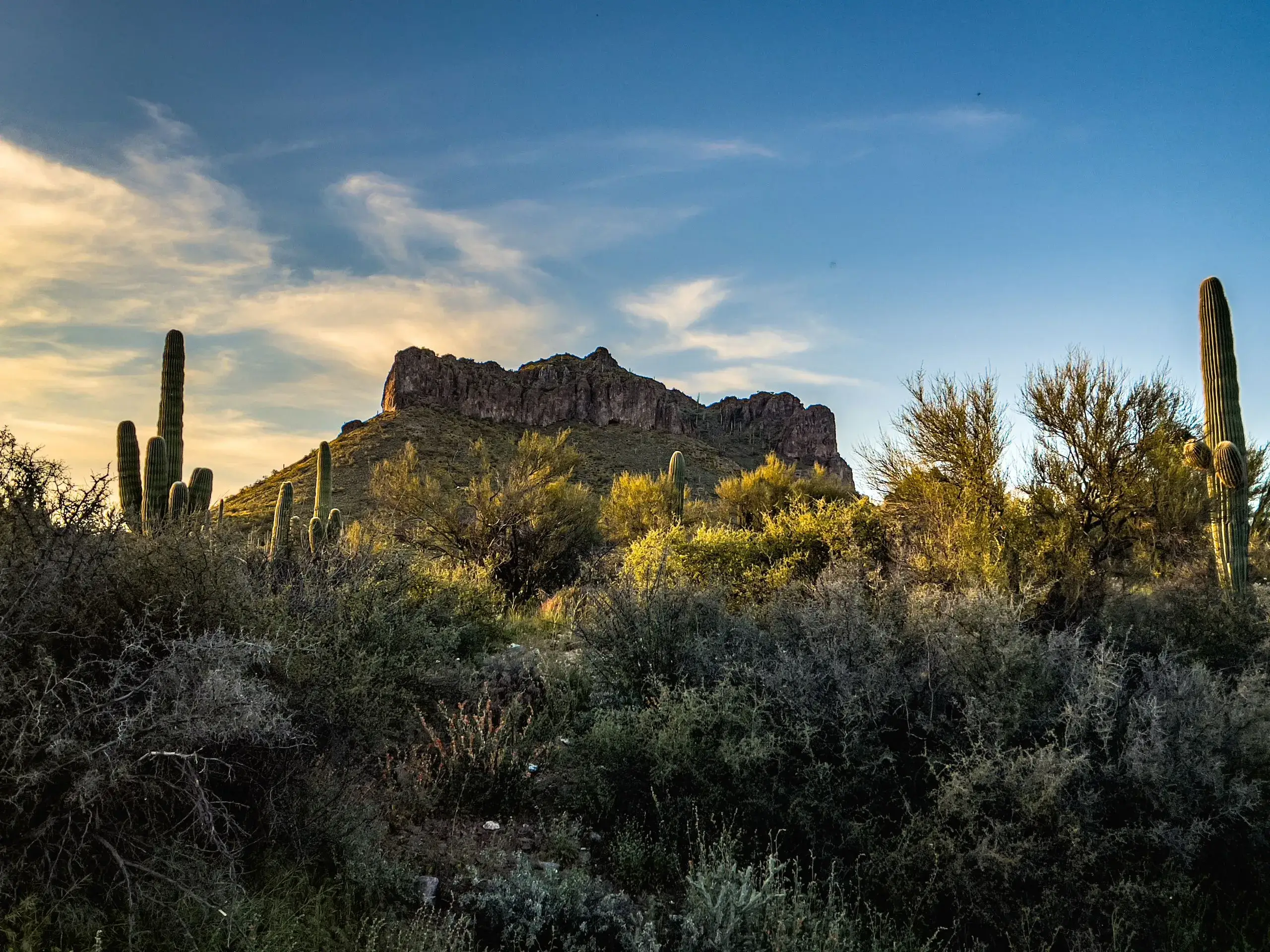 Camelback & the McDowell Sonoran Preserve