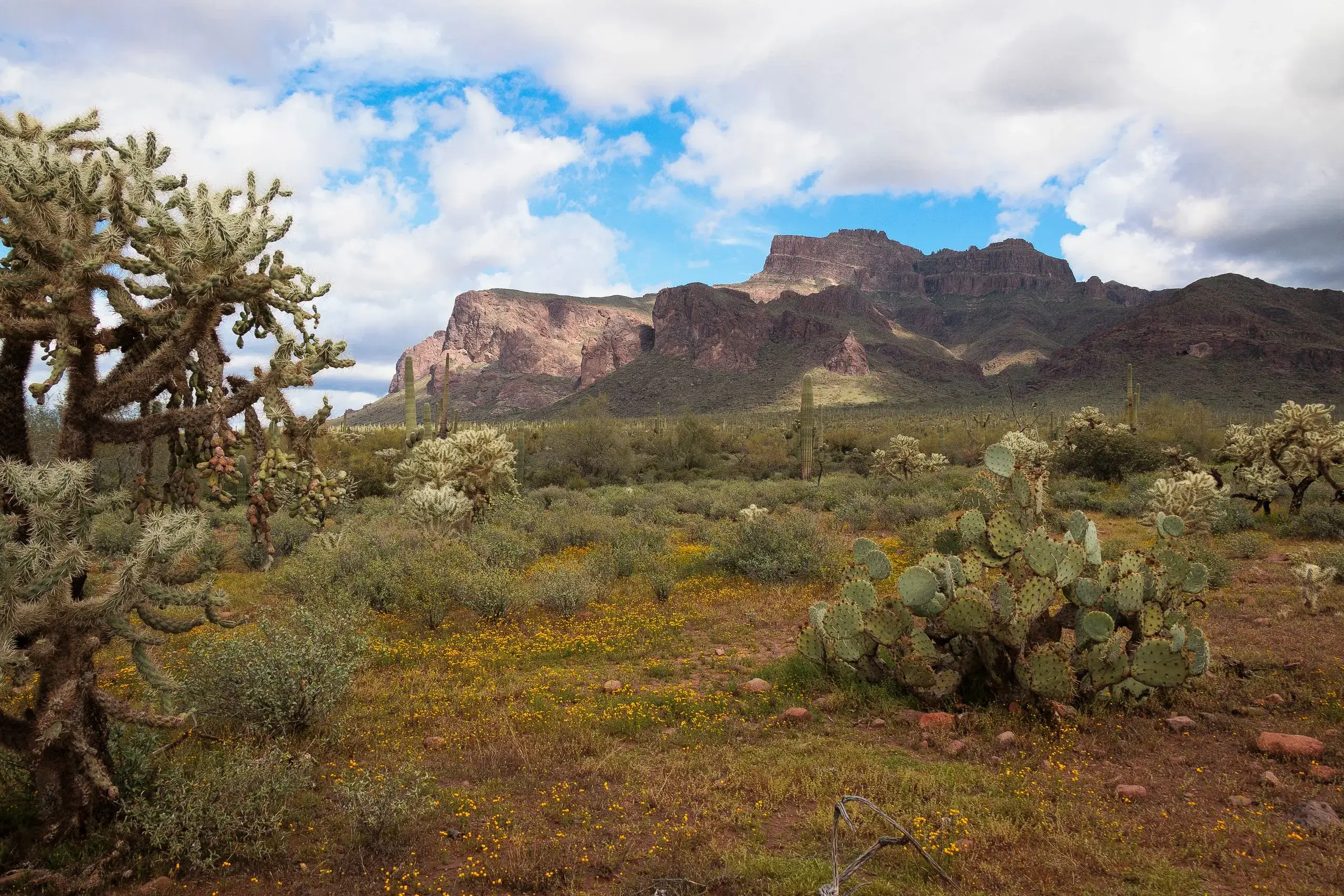 Apache Trail & Superstition Mountains