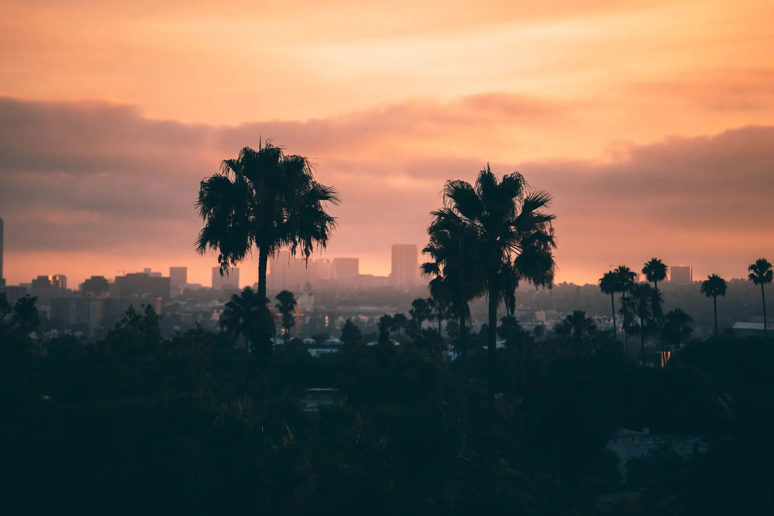The Sunset Strip after dark