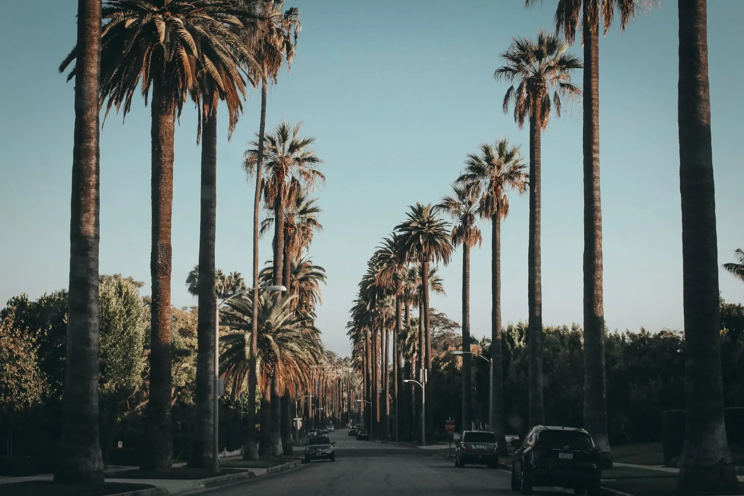 Beverly Hills & Rodeo Drive