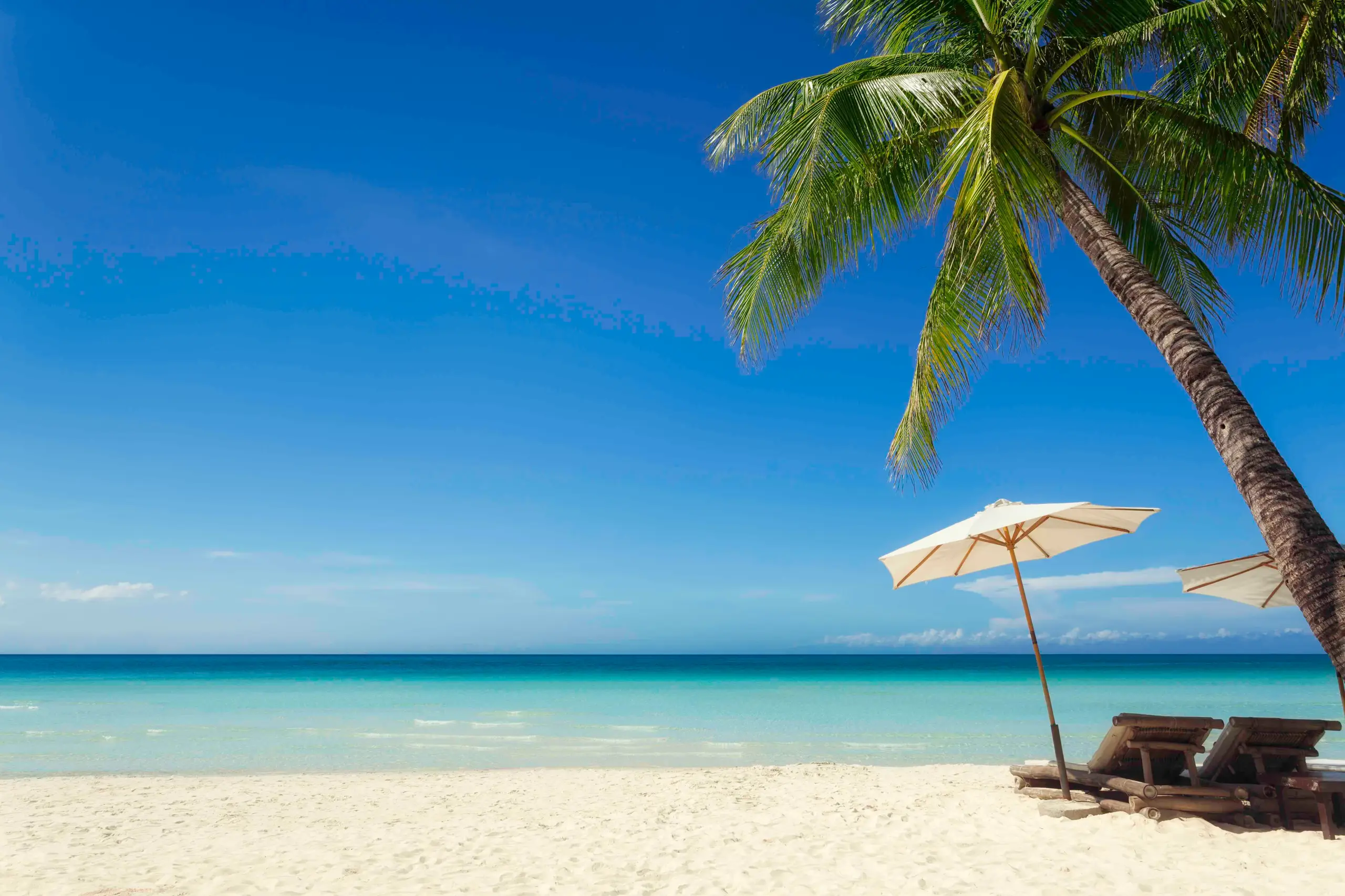Turquoise tropical beach with white sand and palm trees