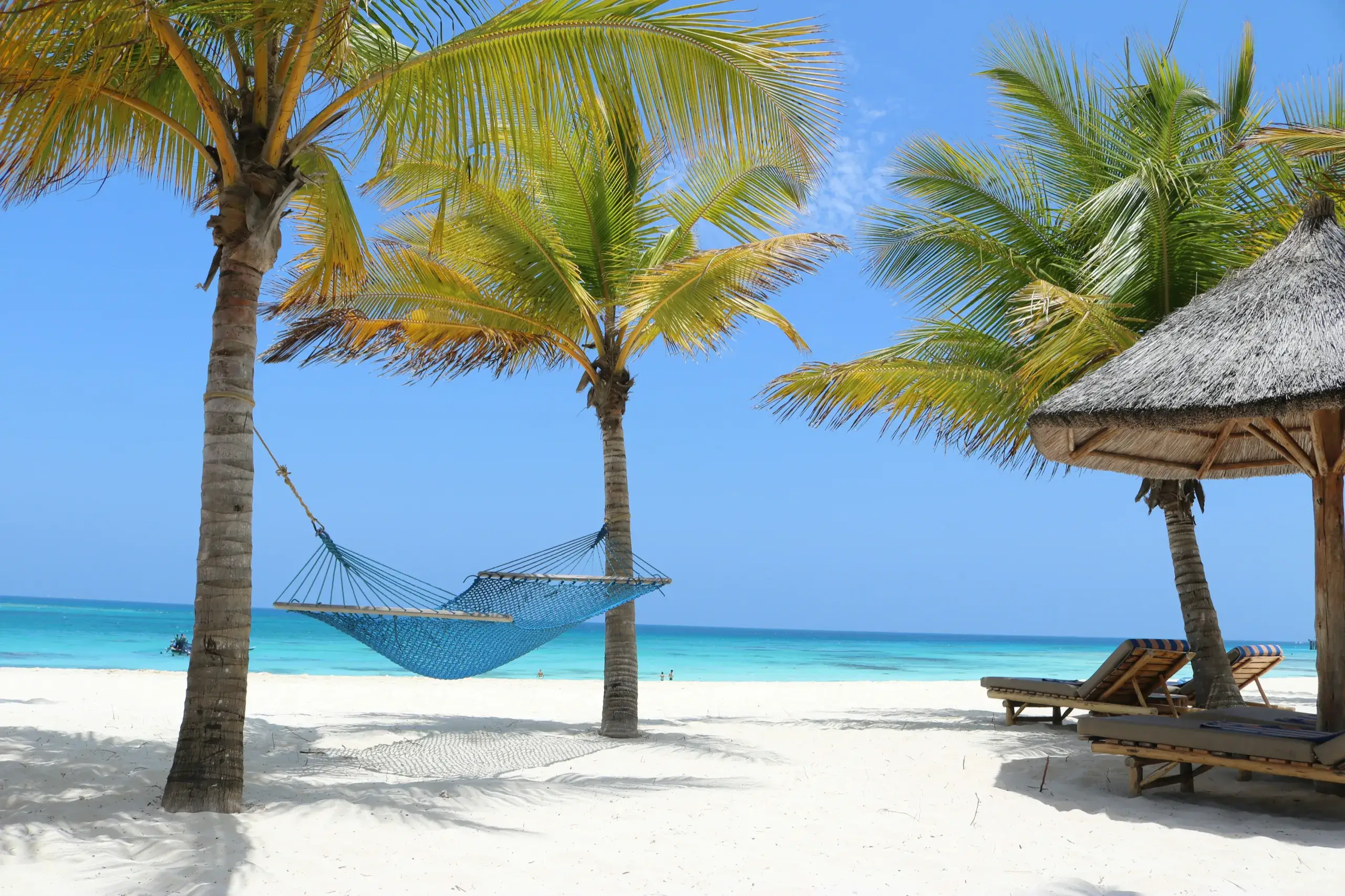 Blue hammock between two palm trees on a white sand beach, with loungers under a thatched shade and a turquoise sea beyond